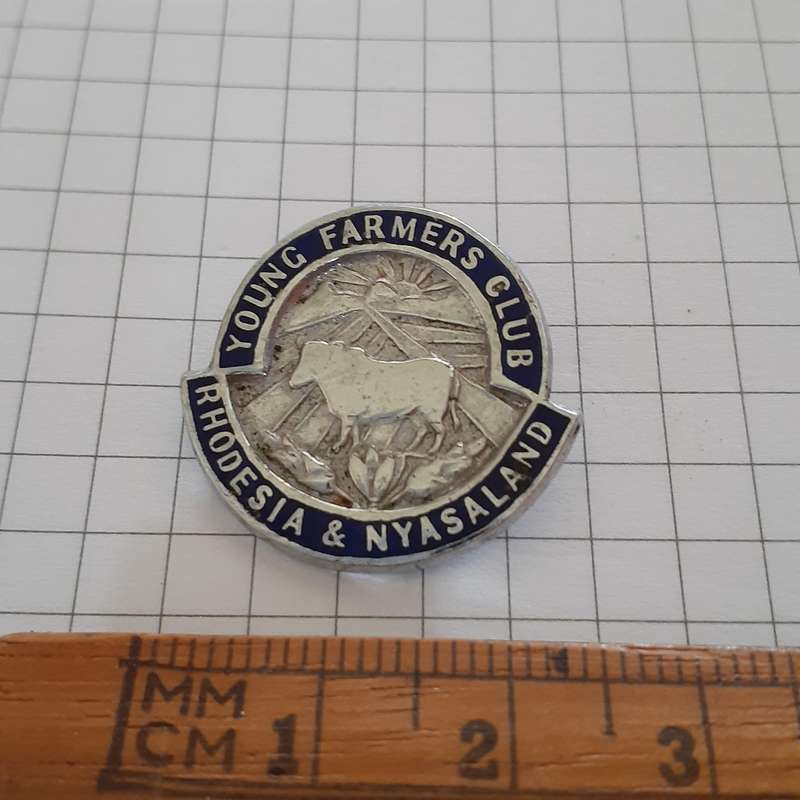 Rhodesia and Nyasaland badge pin Enamel and silver metal Young Farmers Club
