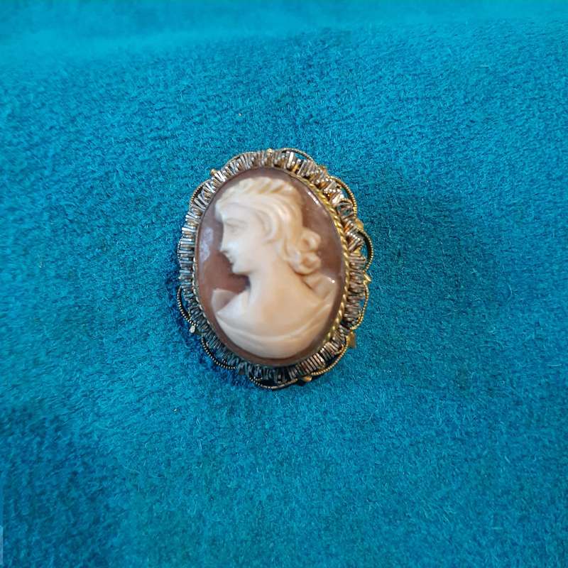 Cameo pendant in gilt metal setting.  3 cms