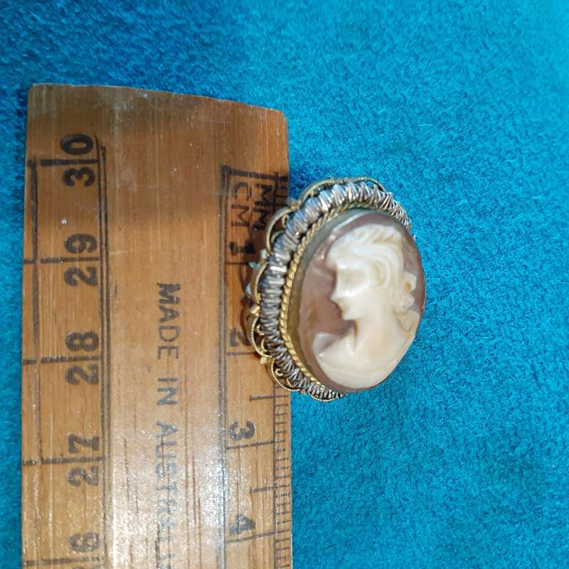 Cameo pendant in gilt metal setting.  3 cms
