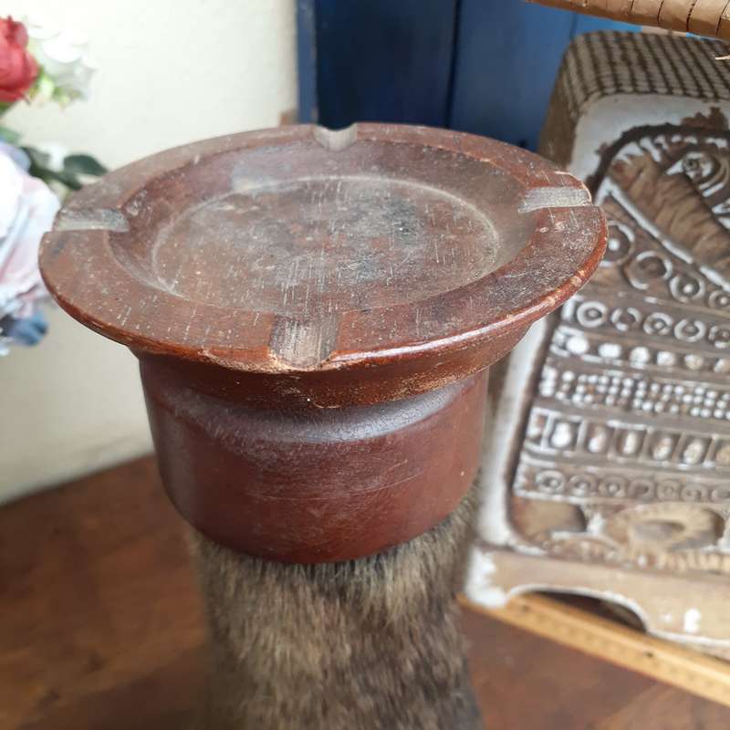 Taxidermy Buffalo leg ashtray on wooden plinth