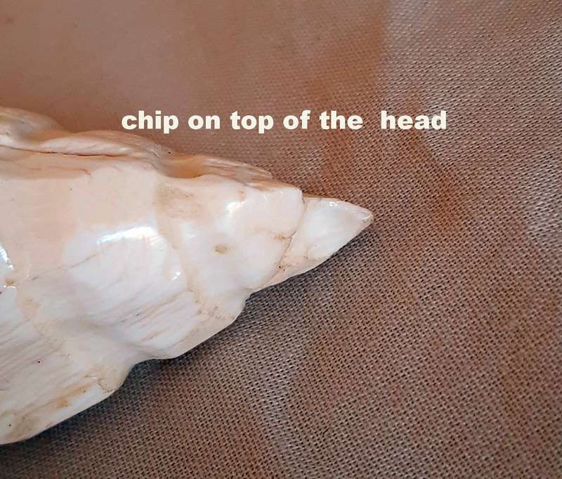 Two carved bone african heads figurines -11cms tall