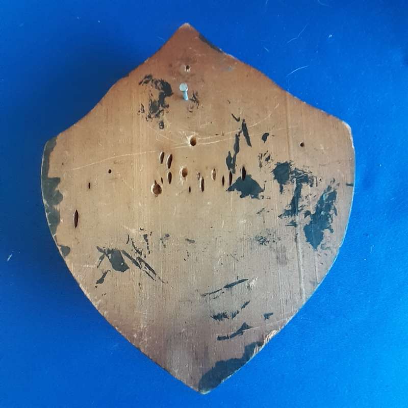 SANDF Army SA1 brass Badge on wooden plaque   18cms x 16cms