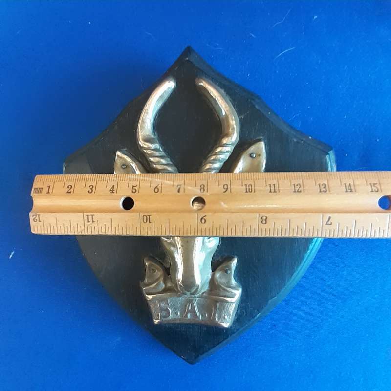 SANDF Army SA1 brass Badge on wooden plaque   18cms x 16cms
