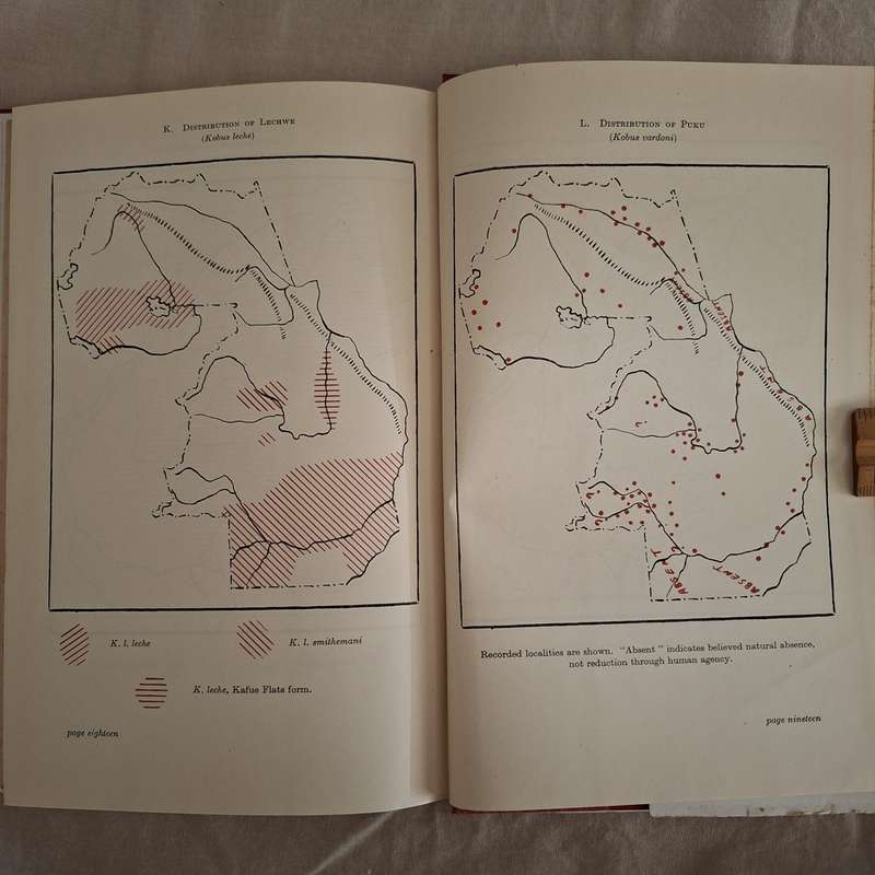 Mammals of Norfthern Rhodesia - W F H Ansell - 1st Ed