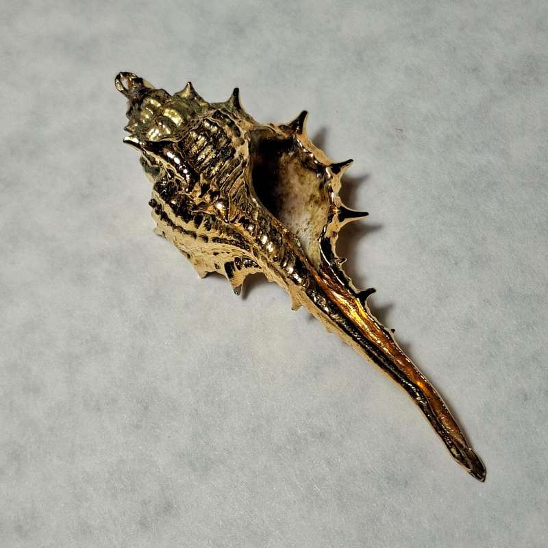 Gold clad shell pendant 7 cms