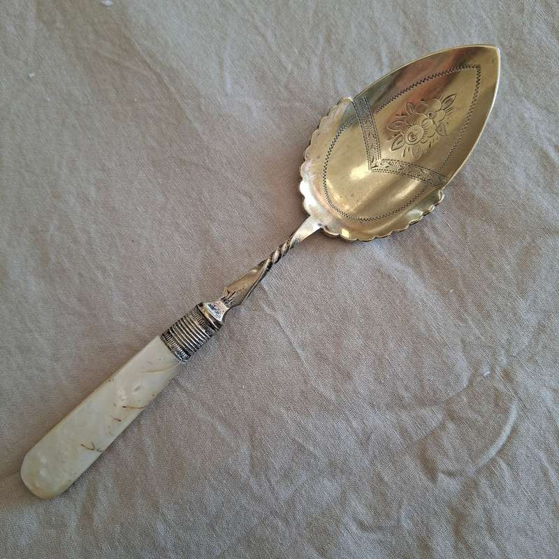 Mother of Pearl handled silver plated sugar jam spoon