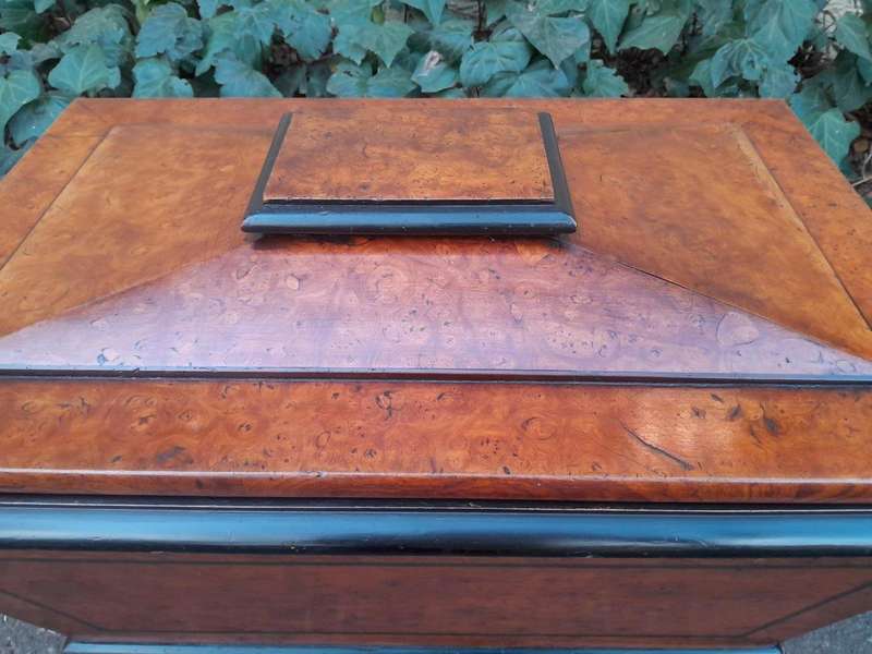 An Antique Victorian  Birds Eye Maple and Ebonised Cellarette with Metal Inner for Ice and Origi...