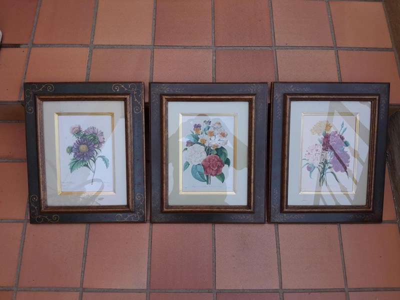 After Pierre-Joseph Redouté (France, 1759 - 1840), Three Works: Aster de Chine, Bouquet del Carn...