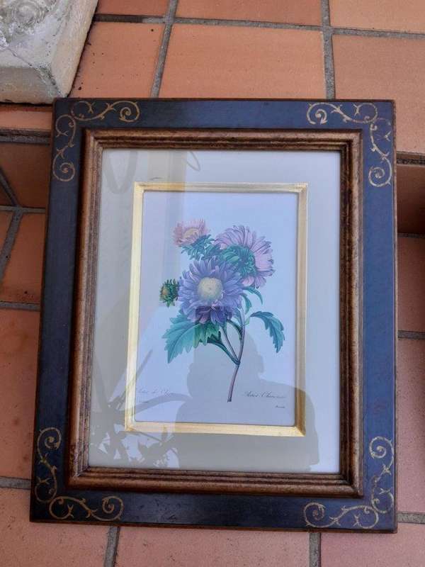 After Pierre-Joseph Redouté (France, 1759 - 1840), Three Works: Aster de Chine, Bouquet del Carn...