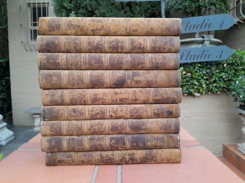 An Antique Set of Books Circa 1860s Nine Volumes: The Journal of Horticulture, Cottage Gardener...