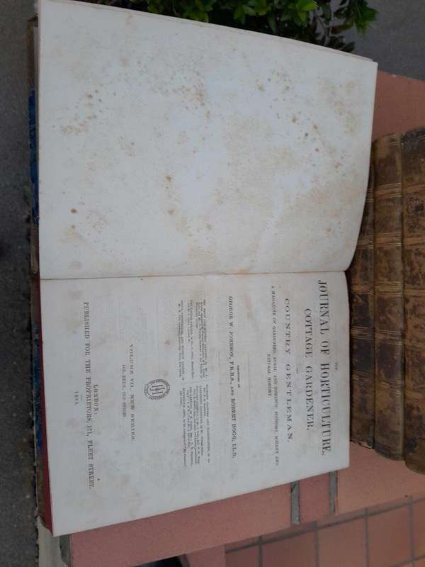 An Antique Set of Books Circa 1860s Nine Volumes: The Journal of Horticulture, Cottage Gardener...