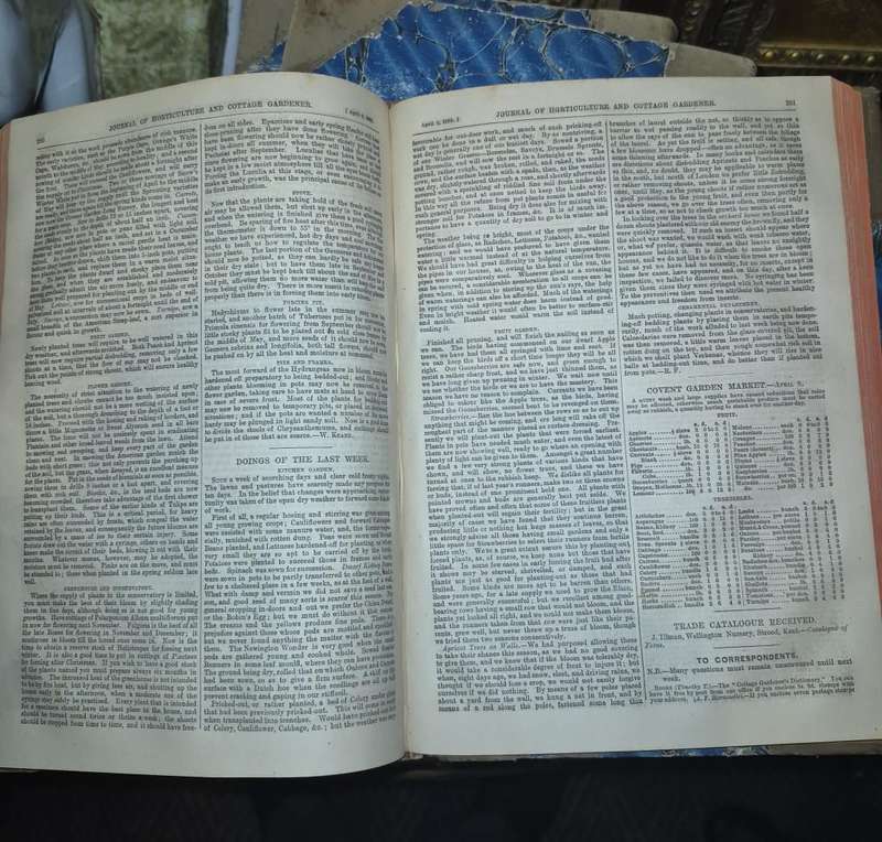 An Antique Set of Books Circa 1860s Nine Volumes: The Journal of Horticulture, Cottage Gardener...