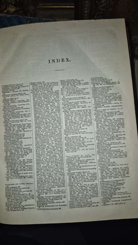 An Antique Set of Books Circa 1860s Nine Volumes: The Journal of Horticulture, Cottage Gardener...