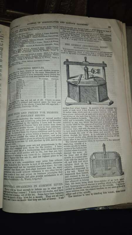 An Antique Set of Books Circa 1860s Nine Volumes: The Journal of Horticulture, Cottage Gardener...