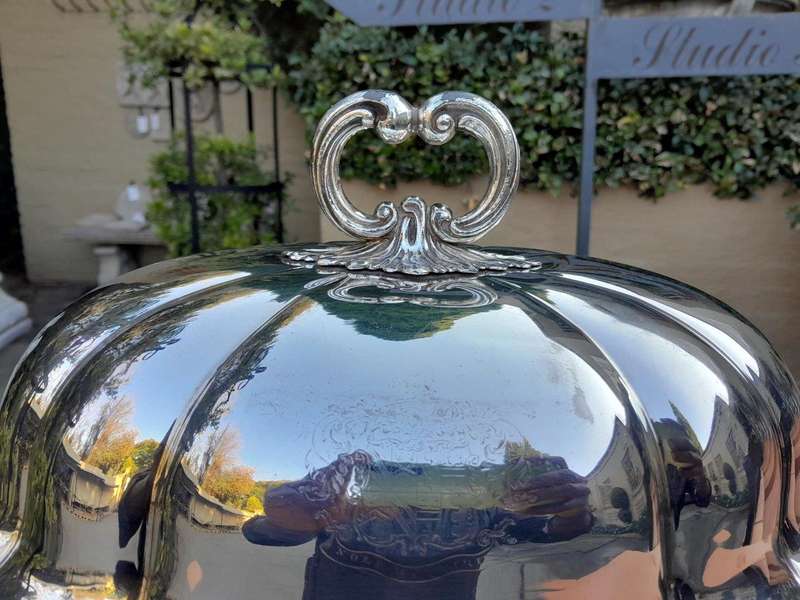 An Electroplate Food Dome