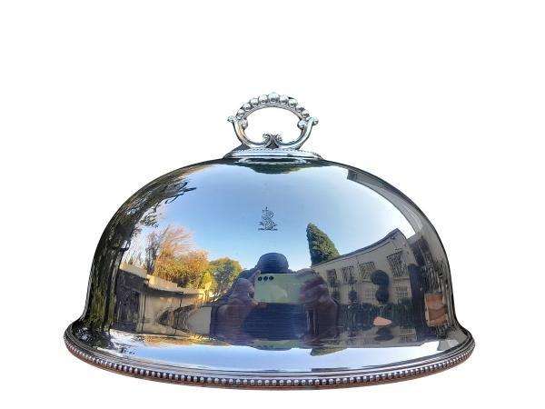 An Electroplate Food Dome