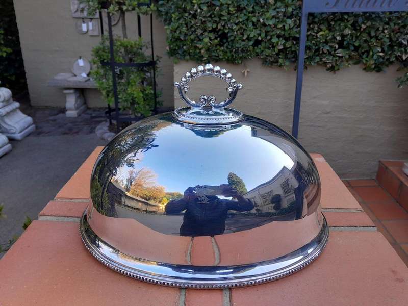 An Electroplate Food Dome