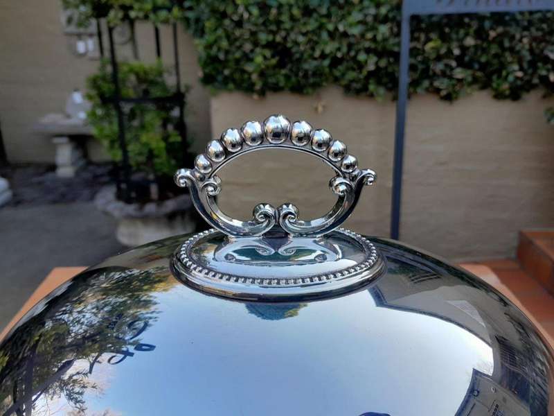An Electroplate Food Dome