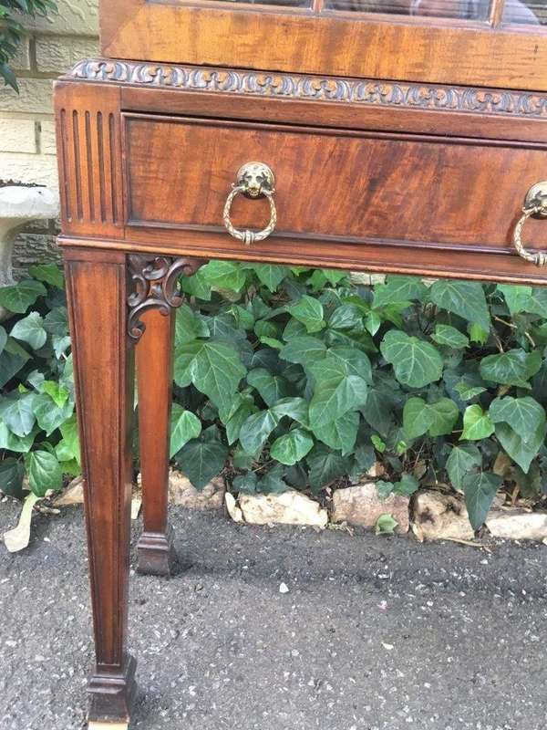 19th Century Mahogany Display Library Bookcase with Astral Glazed Doors