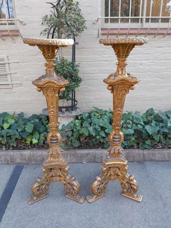 An Antique 19th Century Pair of Heavily Carved Gilt-Wood Candle Holders of Large Proportions