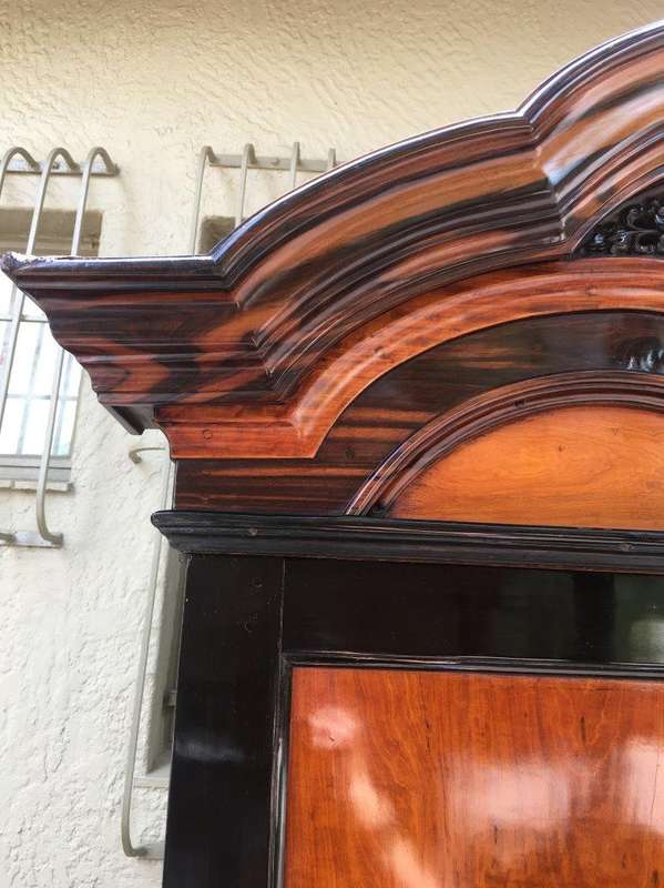 19th Century Colonial Ebonised Coromandel Beefwood Cabinet
