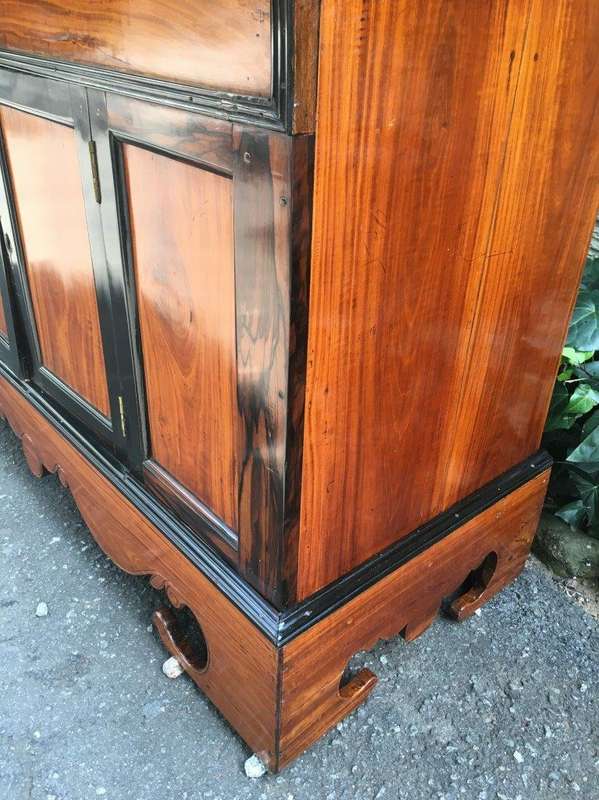 19th Century Colonial Ebonised Coromandel Beefwood Cabinet