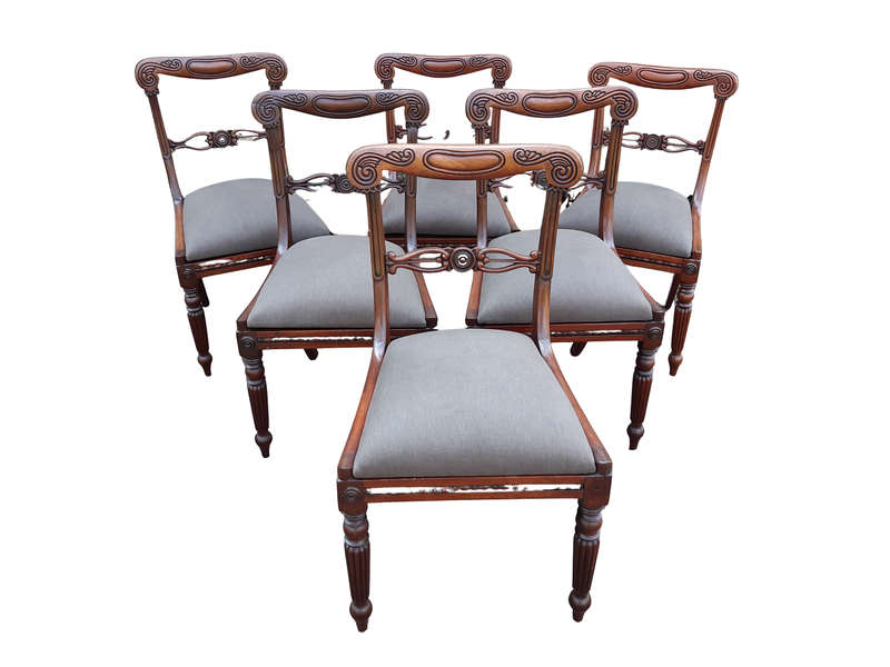 Set of Six William IV Rosewood Dining Chairs - the Top Rails Carved with Foliage & Gadrooning