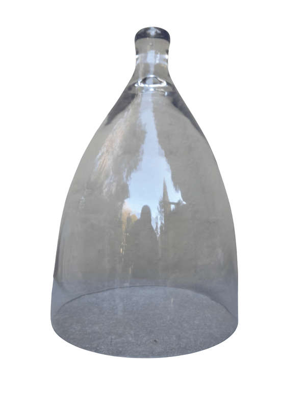 Glass Cloche Dome