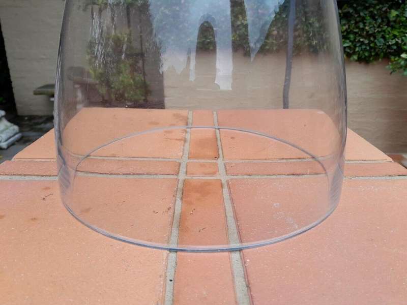 Glass Cloche Dome