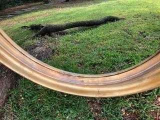 Round Gilded Mirror - MEDIUM