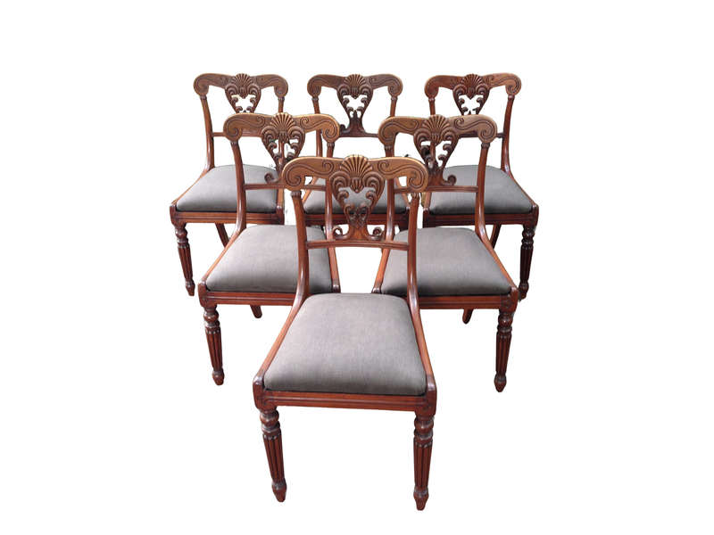 A Set Of Six William Iv Mahogany Dining Chairs