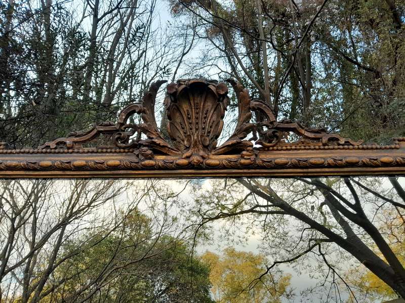 Rare Victorian Gilt Wooden Carved Large Mirror