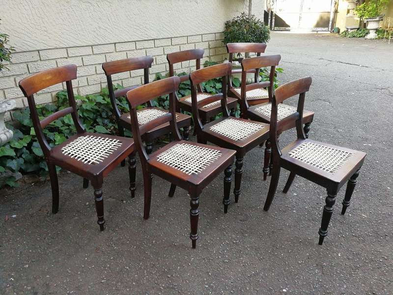19th Century Regency Set Of 8 Stinkwood Riempie Chairs