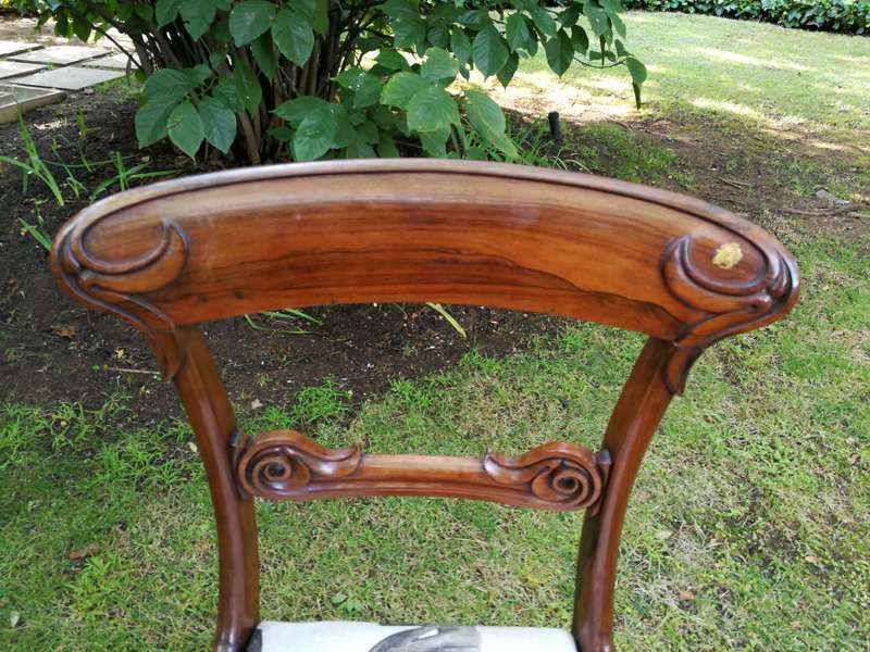 A Set Of Four (4) Rare William Iv Rosewood Dining Chairs (British Antique Dealer Association Stamp)