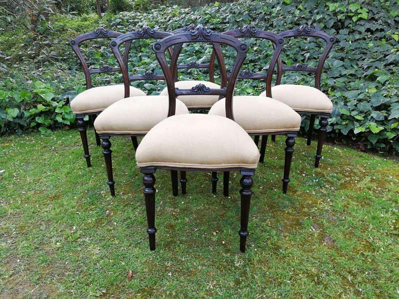 A Set Of 6 Victorian Carved Bustle Back Chairs