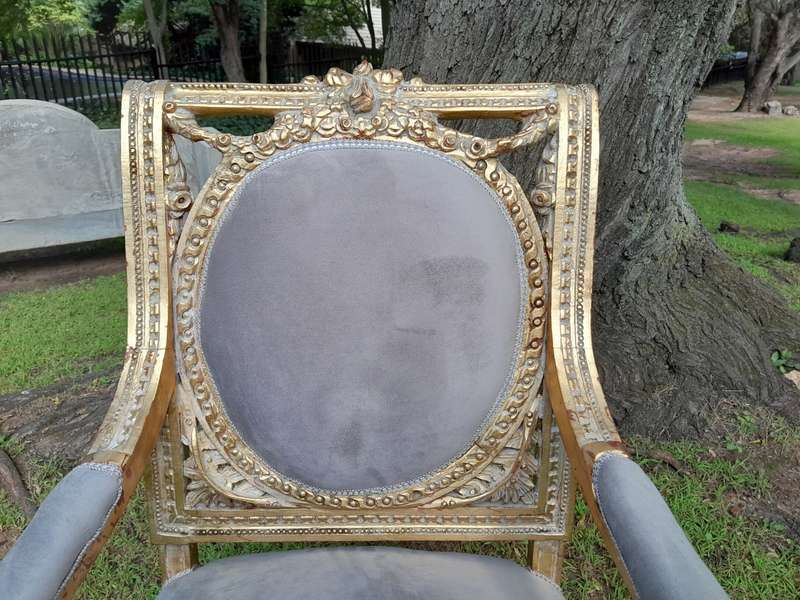 A Set of Eight French Style Ornately Carved and Gilded Dining Chairs (6 chairs and 2 Carvers)