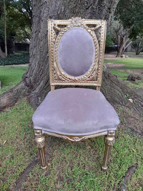 A Set of Eight French Style Ornately Carved and Gilded Dining Chairs (6 chairs and 2 Carvers)