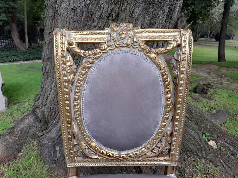 A Set of Eight French Style Ornately Carved and Gilded Dining Chairs (6 chairs and 2 Carvers)
