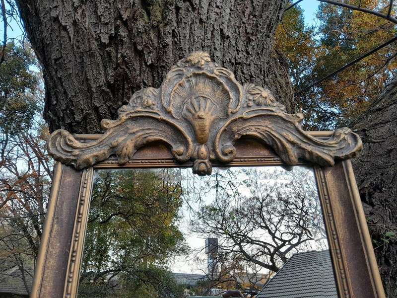 An Ornate Carved Rococo French Style Bevelled Mirror