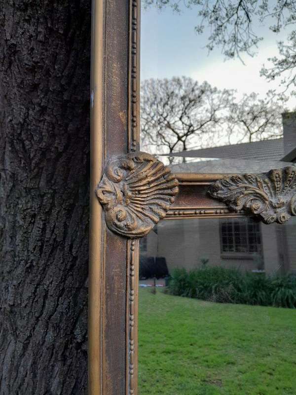 An Ornate Carved Rococo French Style Bevelled Mirror