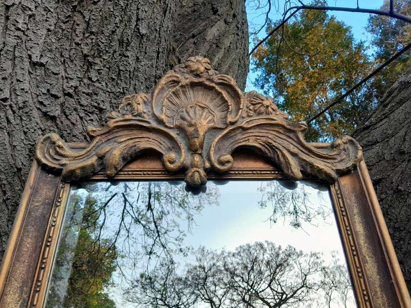 An Ornate Carved Rococo French Style Bevelled Mirror