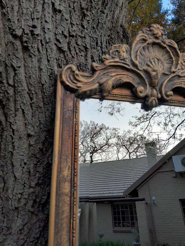 An Ornate Carved Rococo French Style Bevelled Mirror