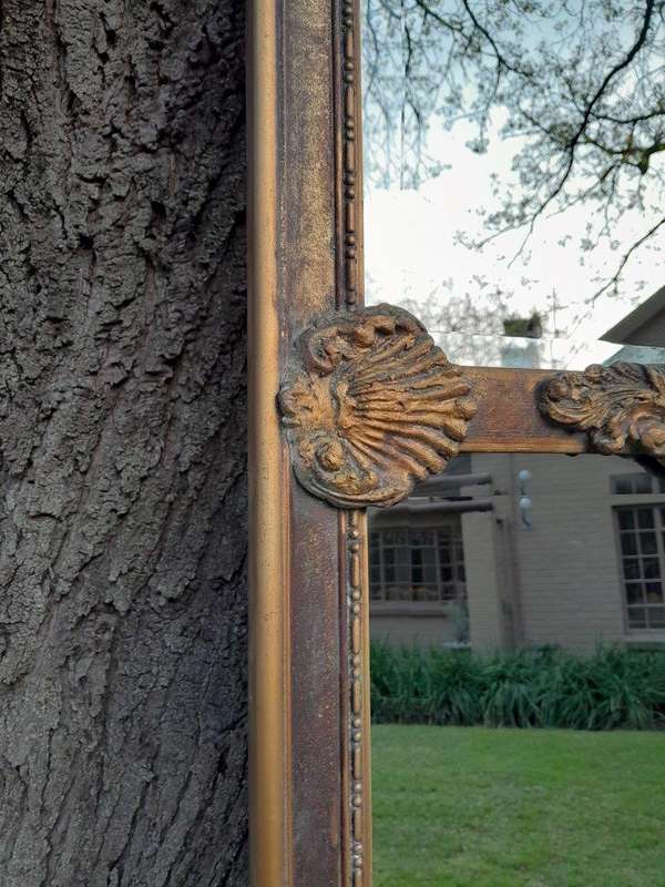 An Ornate Carved Rococo French Style Bevelled Mirror