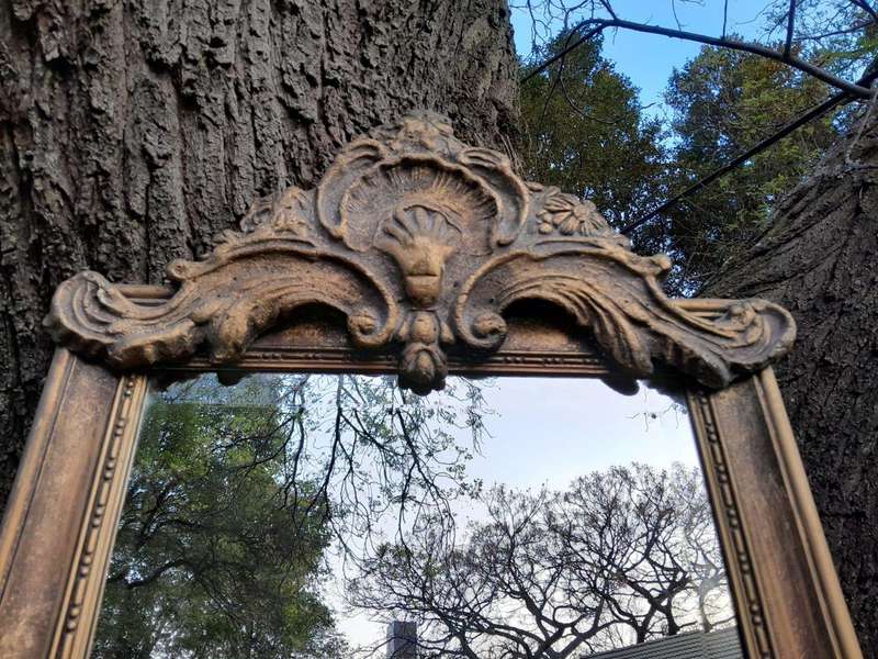 An Ornate Carved Rococo French Style Bevelled Mirror