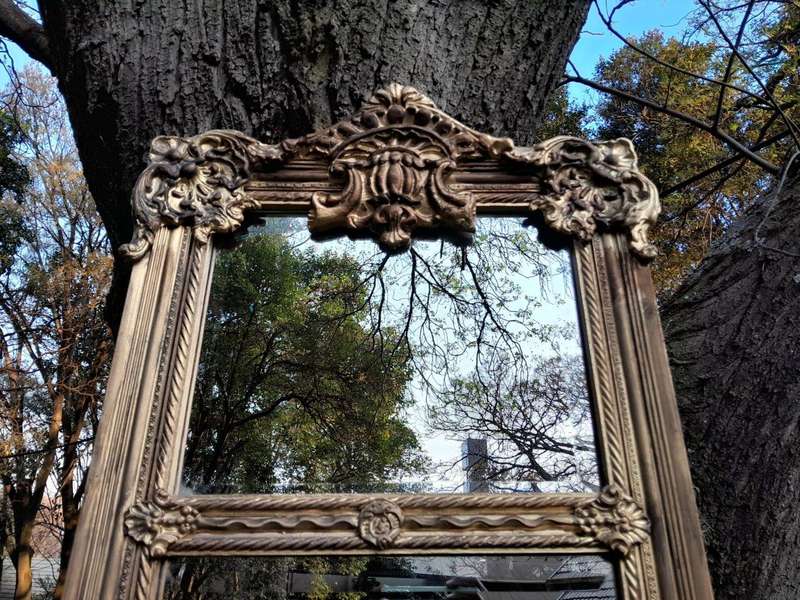 An Ornate Carved Rococo French Style Bevelled Mirror