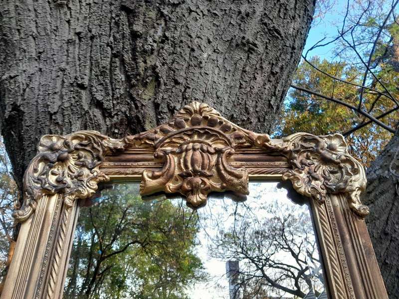 An Ornate Carved Rococo French Style Bevelled Mirror