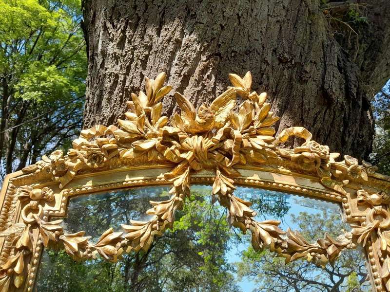 A French Rococo Style Ornately Carved and Gilded Bevelled Mirror