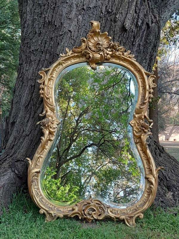 A French Rococo Style Ornately Carved and Gilded Bevelled Mirror