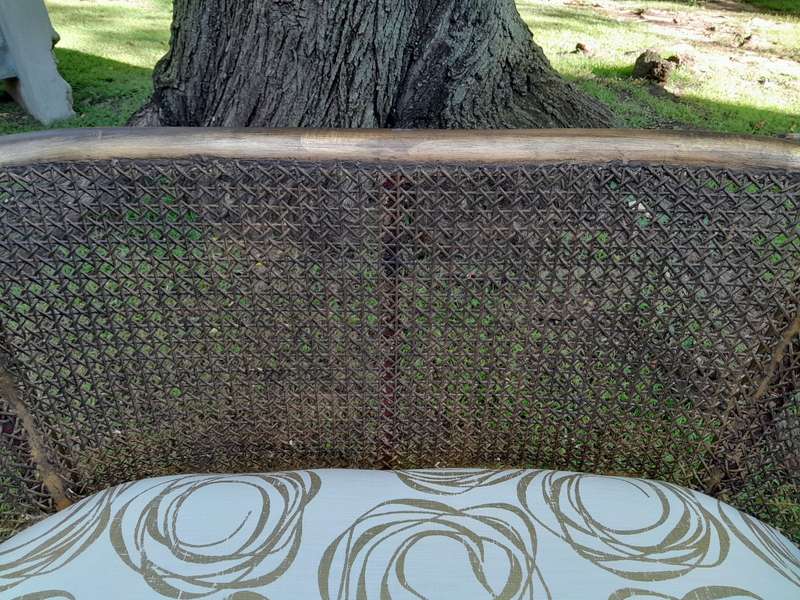 A Pair of French Style Carved and Gilded Wooden and Rattan Settees Upholstered in a Custom-Made L...