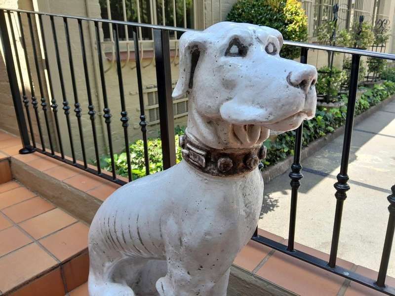 An Early 20th Century Pair Of Italian Porcelain Decorative Dogs On Clay Bases ND